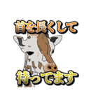 すごく使える！製作者の愉快な仲間（個別スタンプ：13）