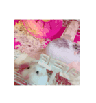 うちのはむちゃんズ（個別スタンプ：24）