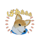 WhitePearl【コーギー犬】（個別スタンプ：11）