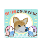 WhitePearl【コーギー犬】（個別スタンプ：37）