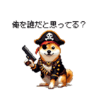 ドット絵 海賊な柴犬 40種（個別スタンプ：19）