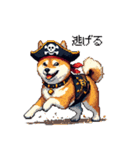 ドット絵 海賊な柴犬 40種（個別スタンプ：24）