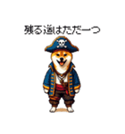 ドット絵 海賊な柴犬 40種（個別スタンプ：25）