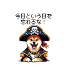 ドット絵 海賊な柴犬 40種（個別スタンプ：27）