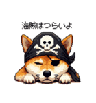 ドット絵 海賊な柴犬 40種（個別スタンプ：33）