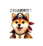 ドット絵 海賊な柴犬 40種（個別スタンプ：35）