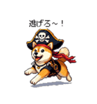 ドット絵 海賊な柴犬 40種（個別スタンプ：40）