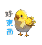 ひよこの生活 Ver2 (漢字)（個別スタンプ：9）