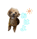くりとひい（個別スタンプ：1）