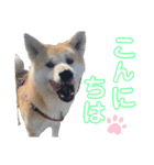 くりとひい（個別スタンプ：2）