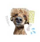 くりとひい（個別スタンプ：3）