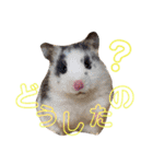 くりとひい（個別スタンプ：6）