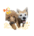 くりとひい（個別スタンプ：7）