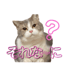 くりとひい（個別スタンプ：8）