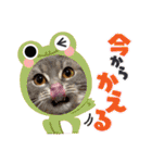 くりとひい（個別スタンプ：12）