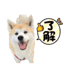 くりとひい（個別スタンプ：16）
