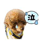 くりとひい（個別スタンプ：17）
