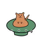 猫のかくれんぼ、あの鍋この鍋猫の鍋。（個別スタンプ：19）