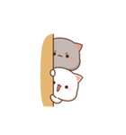 もちもち動くももねこちゃん (Version)（個別スタンプ：21）