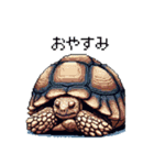 ドット絵 ロシアリクガメ 日常会話 40種（個別スタンプ：2）