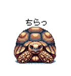 ドット絵 ロシアリクガメ 日常会話 40種（個別スタンプ：31）