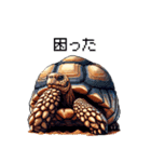 ドット絵 ロシアリクガメ 日常会話 40種（個別スタンプ：40）