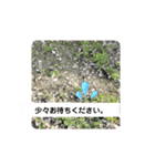 待って！！！！（個別スタンプ：1）