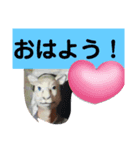 待って！！！！（個別スタンプ：3）