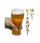 年中使えるビール（個別スタンプ：29）