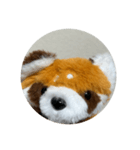 red panda RESAMON（個別スタンプ：6）