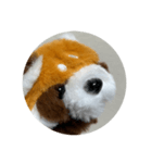 red panda RESAMON（個別スタンプ：7）