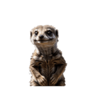 ミーアキャット meerkat.（個別スタンプ：2）