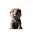 ミーアキャット meerkat.（個別スタンプ：7）