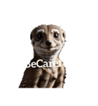 ミーアキャット meerkat.（個別スタンプ：11）
