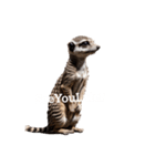 ミーアキャット meerkat.（個別スタンプ：34）
