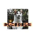 まがちゃんのスタンプ（個別スタンプ：6）