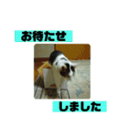 まがちゃんのスタンプ（個別スタンプ：8）