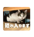 まがちゃんのスタンプ（個別スタンプ：11）