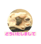 まがちゃんのスタンプ（個別スタンプ：12）