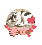まがちゃんのスタンプ（個別スタンプ：14）