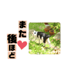 まがちゃんのスタンプ（個別スタンプ：20）