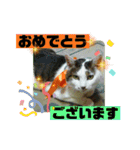 まがちゃんのスタンプ（個別スタンプ：21）