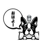 Johnny_Frankie｜日常会話（個別スタンプ：2）