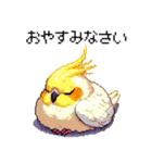 ドット絵 オカメインコ ルチノー 40種（個別スタンプ：2）