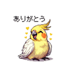 ドット絵 オカメインコ ルチノー 40種（個別スタンプ：3）