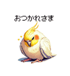 ドット絵 オカメインコ ルチノー 40種（個別スタンプ：4）