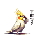 ドット絵 オカメインコ ルチノー 40種（個別スタンプ：6）