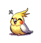 ドット絵 オカメインコ ルチノー 40種（個別スタンプ：8）