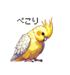 ドット絵 オカメインコ ルチノー 40種（個別スタンプ：10）