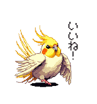 ドット絵 オカメインコ ルチノー 40種（個別スタンプ：11）